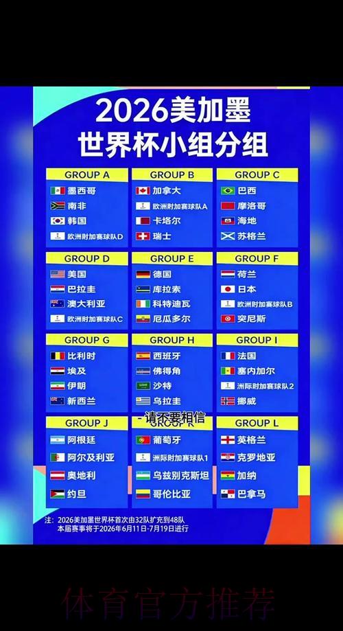 2026年世界杯热门赛事比分深度解析